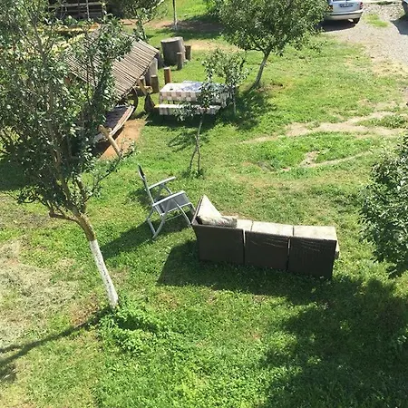 Guest house Casa Firuta 3*